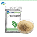 Alibaba Best Sellers Cattle Feed Fodder Yeast From China Supplier